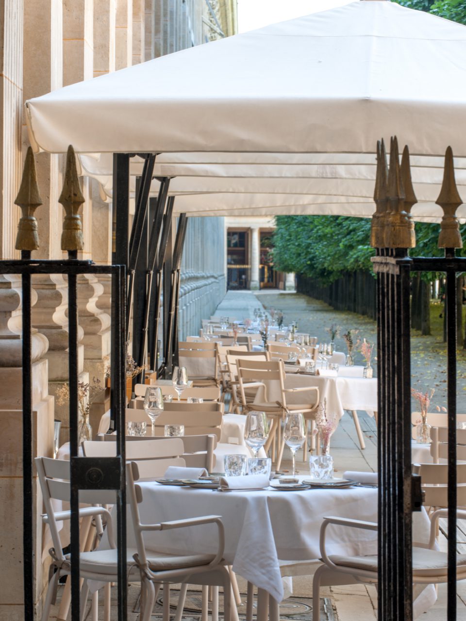 restaurant palais royal terrasse nolinski paris guillaume de laubier